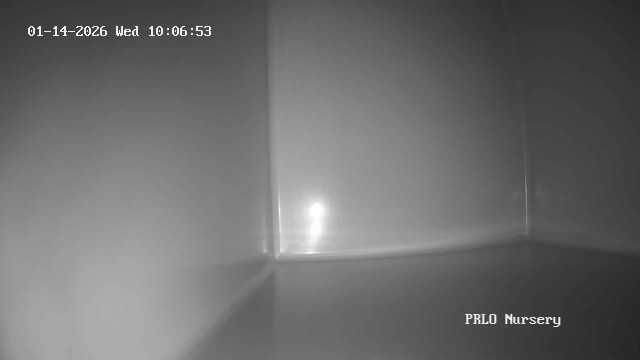 Wild ARC Raccoon Nursery