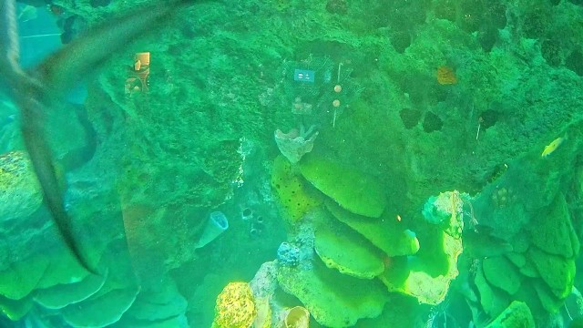 Ocean Tank Webcam